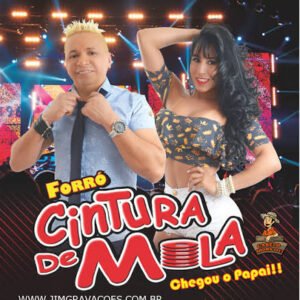 Em Busca De Um Grande Amor